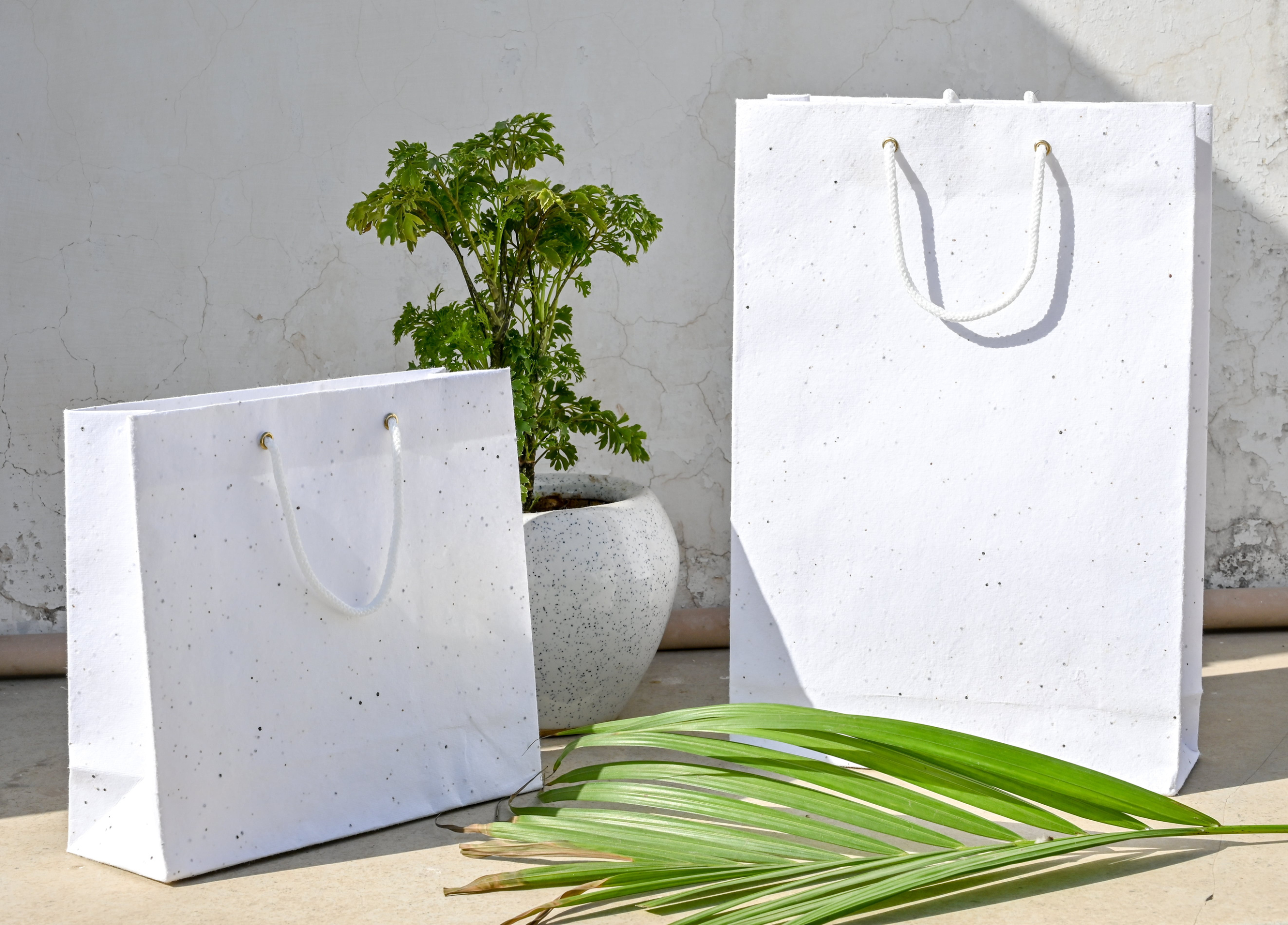 Ribbon Handle Gift Bag